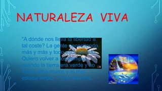 NATURALEZA VIVA
"A dónde nos lleva la libertad a
tal coste? La gente necesitando
más y más y todo está perdido.
Quiero volver a los tiempos
cuando la tierra era verde y no
había altos muros y el mar
estaba limpio..." Cat Stevens.

 