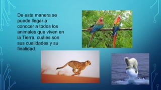 De esta manera se
puede llegar a
conocer a todos los
animales que viven en
la Tierra, cuáles son
sus cualidades y su
finalidad.

 