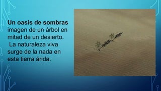 Un oasis de sombras
imagen de un árbol en
mitad de un desierto.
La naturaleza viva
surge de la nada en
esta tierra árida.

 