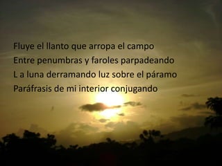 Fluye el llantoquearropa el campoEntre penumbras y farolesparpadeandoL a lunaderramandoluzsobre el páramoParáfrasisde mi interior conjugando