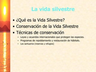 La vida silvestre ¿Qué es la Vida Silvestre? Conservación de la Vida Silvestre Técnicas de conservación Leyes y acuerdos internacionales que protegen las especies. Programas de repoblamiento y restauración de hábitats. Los santuarios (reservas y refugios) 