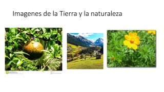 Imagenes de la Tierra y la naturaleza
 