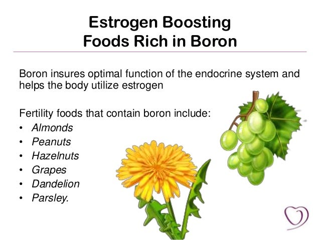 Foods That Contain High Amounts Of Magnesium Foods That Contain High Amounts Of Magnesium