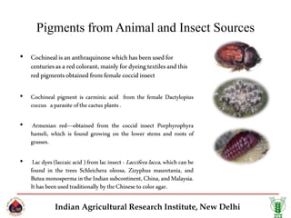 Natural Food Colourents PPT.pptx