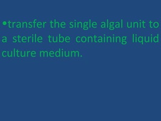 •transfer the single algal unit to
a sterile tube containing liquid
culture medium.
 