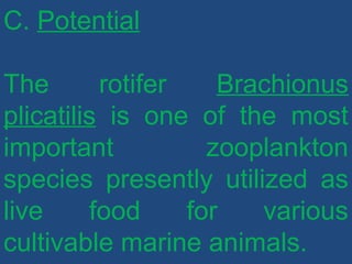 C. Potential
The rotifer Brachionus
plicatilis is one of the most
important zooplankton
species presently utilized as
live food for various
cultivable marine animals.
 