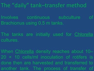 The “daily” tank–transfer method
Involves continuous subculture of
Brachionus using 0.5 m tanks.
The tanks are initially used for Chlorella
cultures.
When Chlorella density reaches about 10–
20 × 10 cells/ml inoculation of rotifers is
done then are harvested and transferred to
another tank. The process of transfer of
 