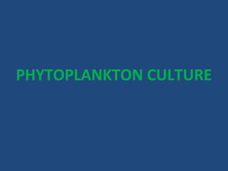 PHYTOPLANKTON CULTURE
 
