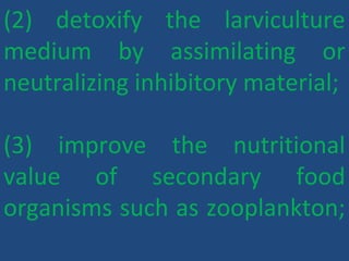 (2) detoxify the larviculture
medium by assimilating or
neutralizing inhibitory material;
(3) improve the nutritional
value of secondary food
organisms such as zooplankton;
 