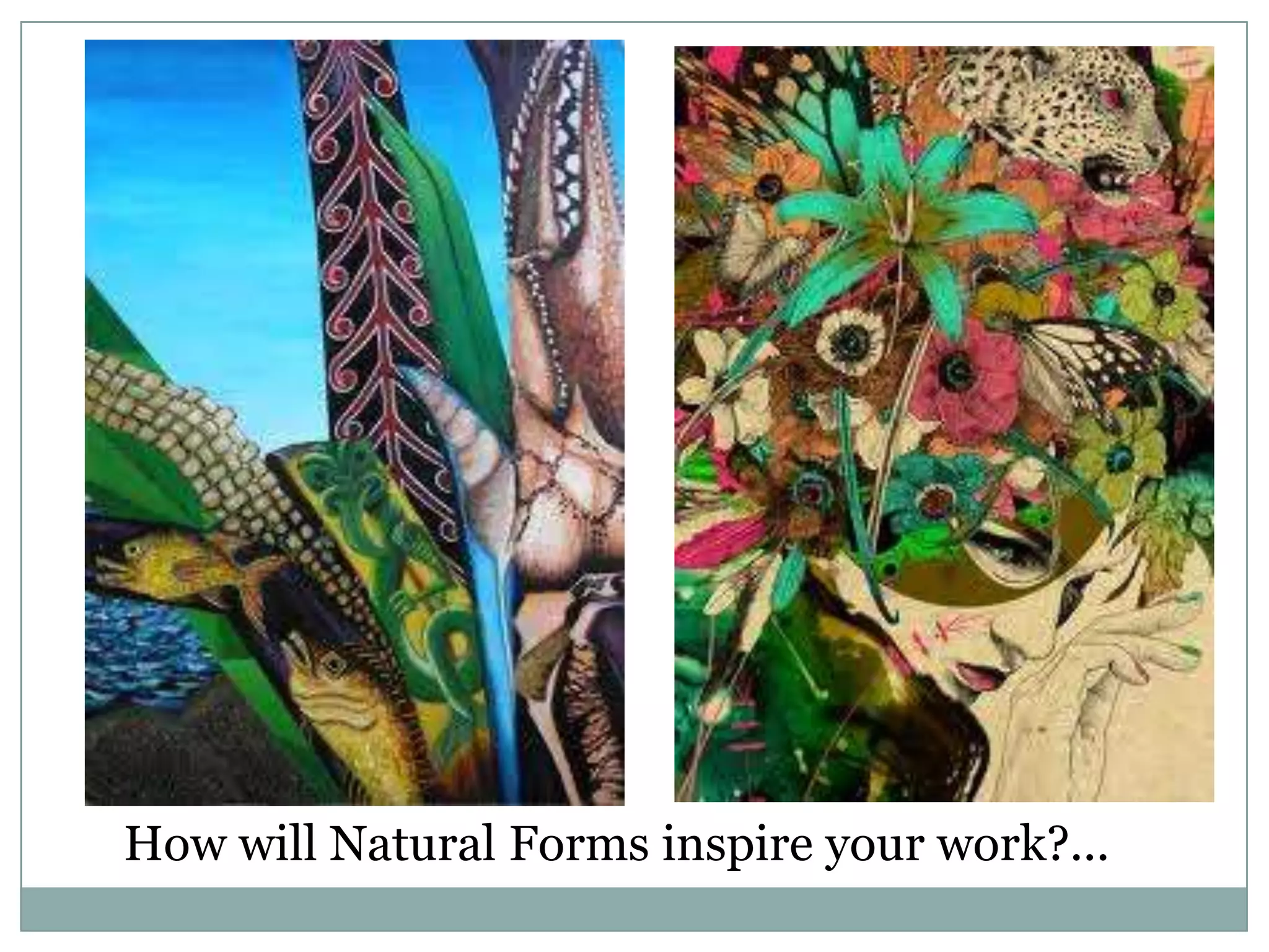 How will Natural Forms inspire your work?...