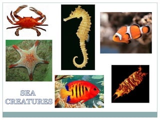 Natural forms | PPTX