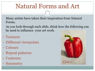 Naural Forms Example Natural forms | PPTX