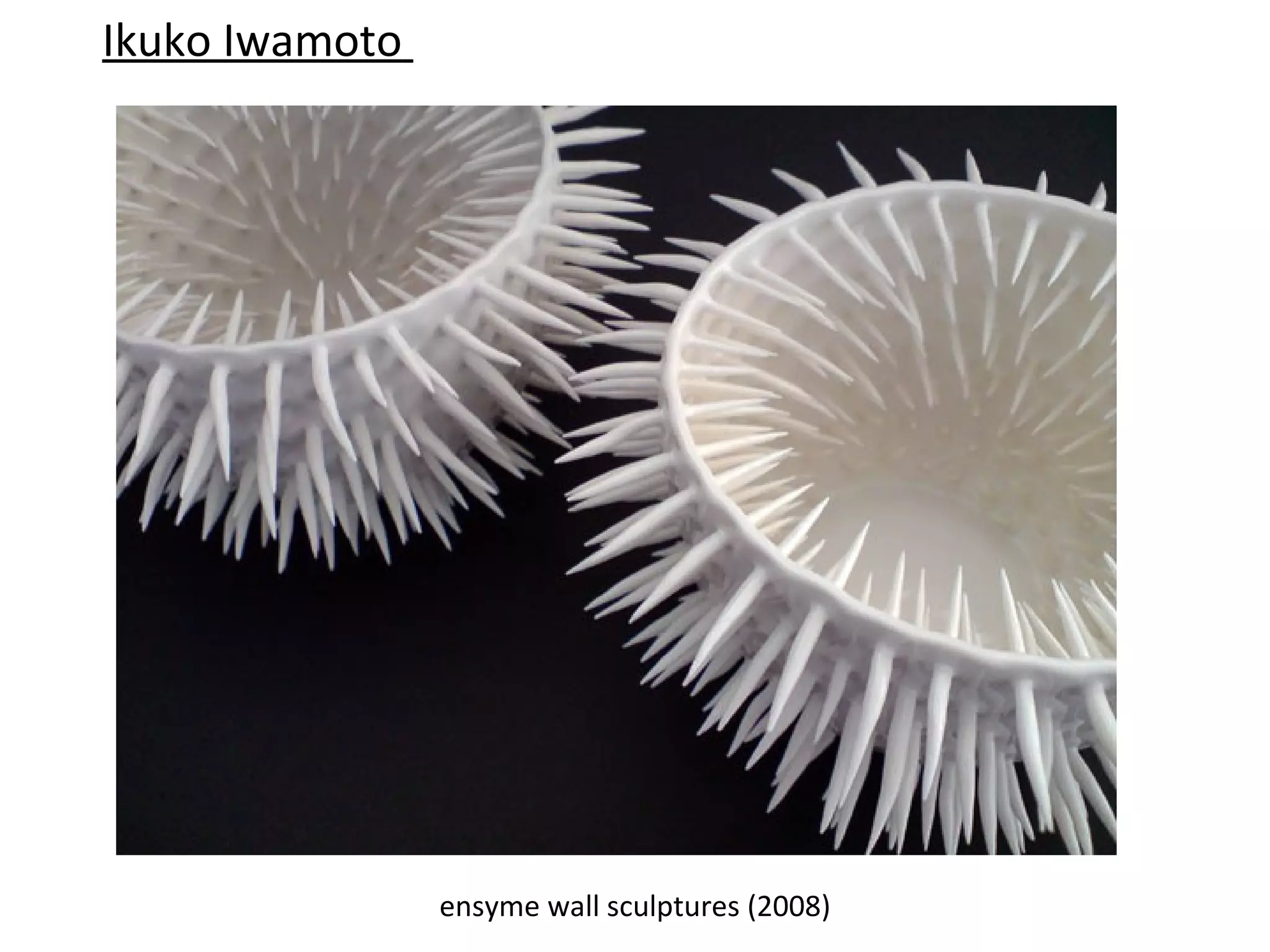 Ikuko Iwamoto




                ensyme wall sculptures (2008)
 