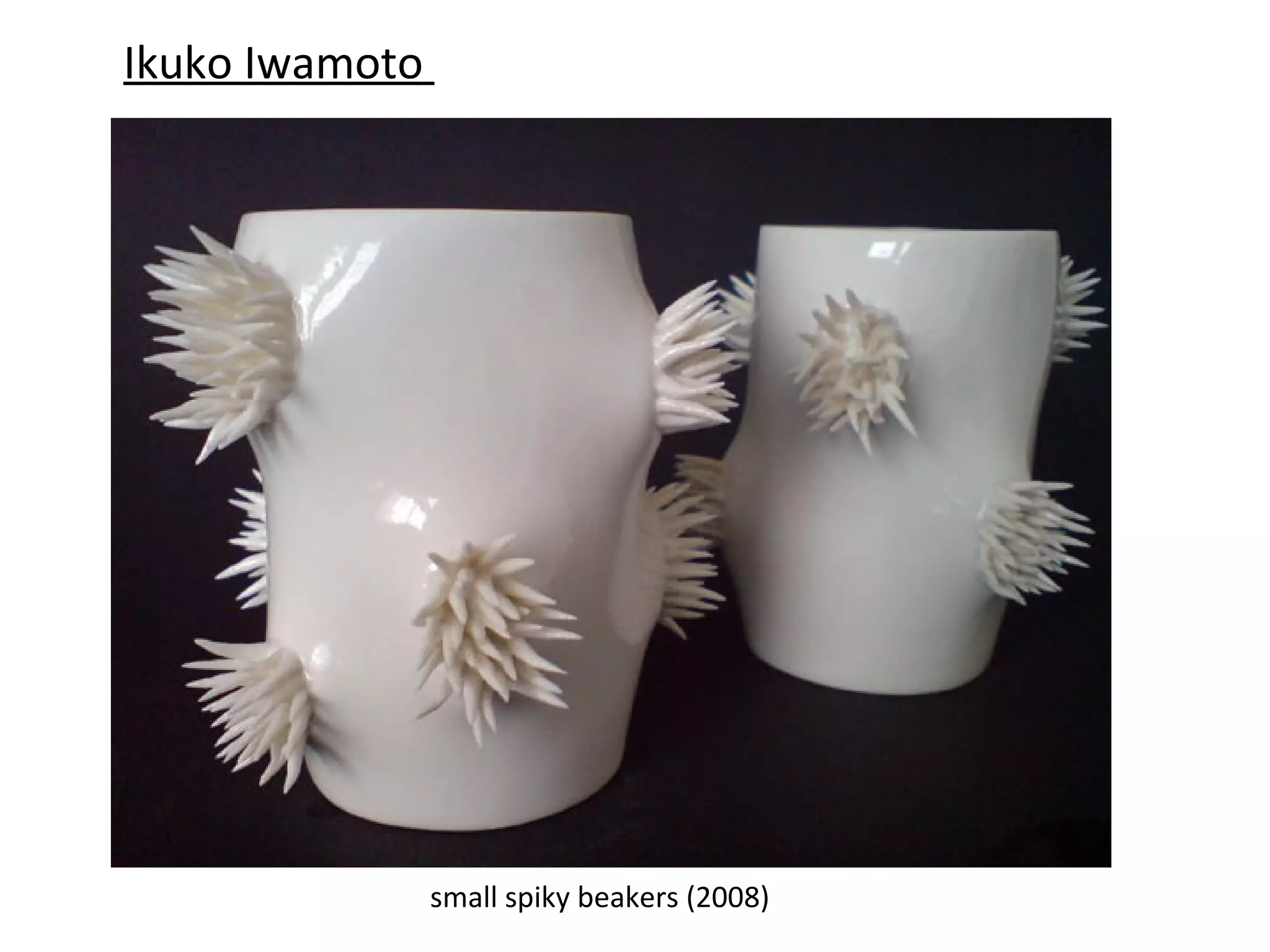 Ikuko Iwamoto




                small spiky beakers (2008)
 