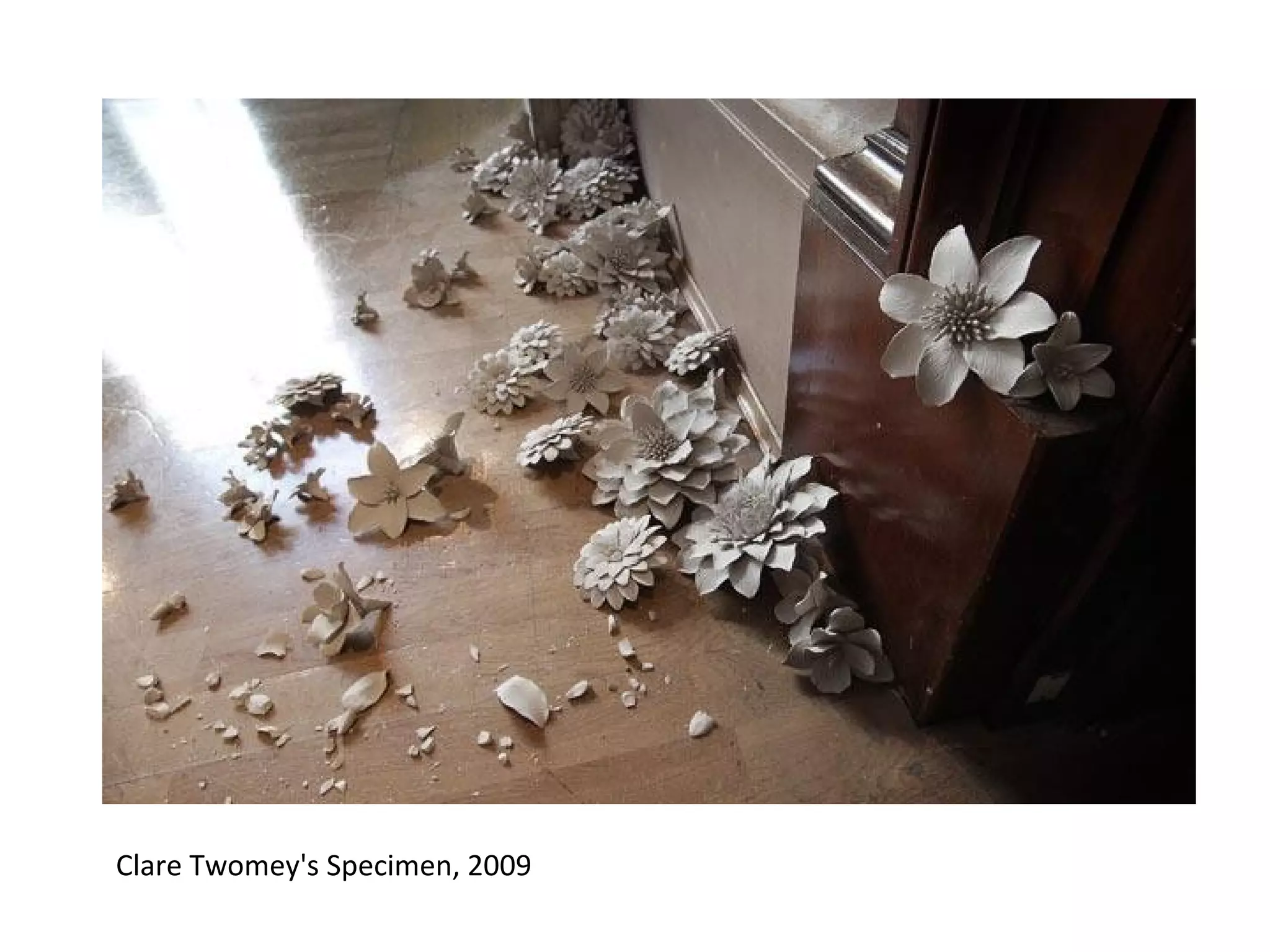 Clare Twomey's Specimen, 2009
 