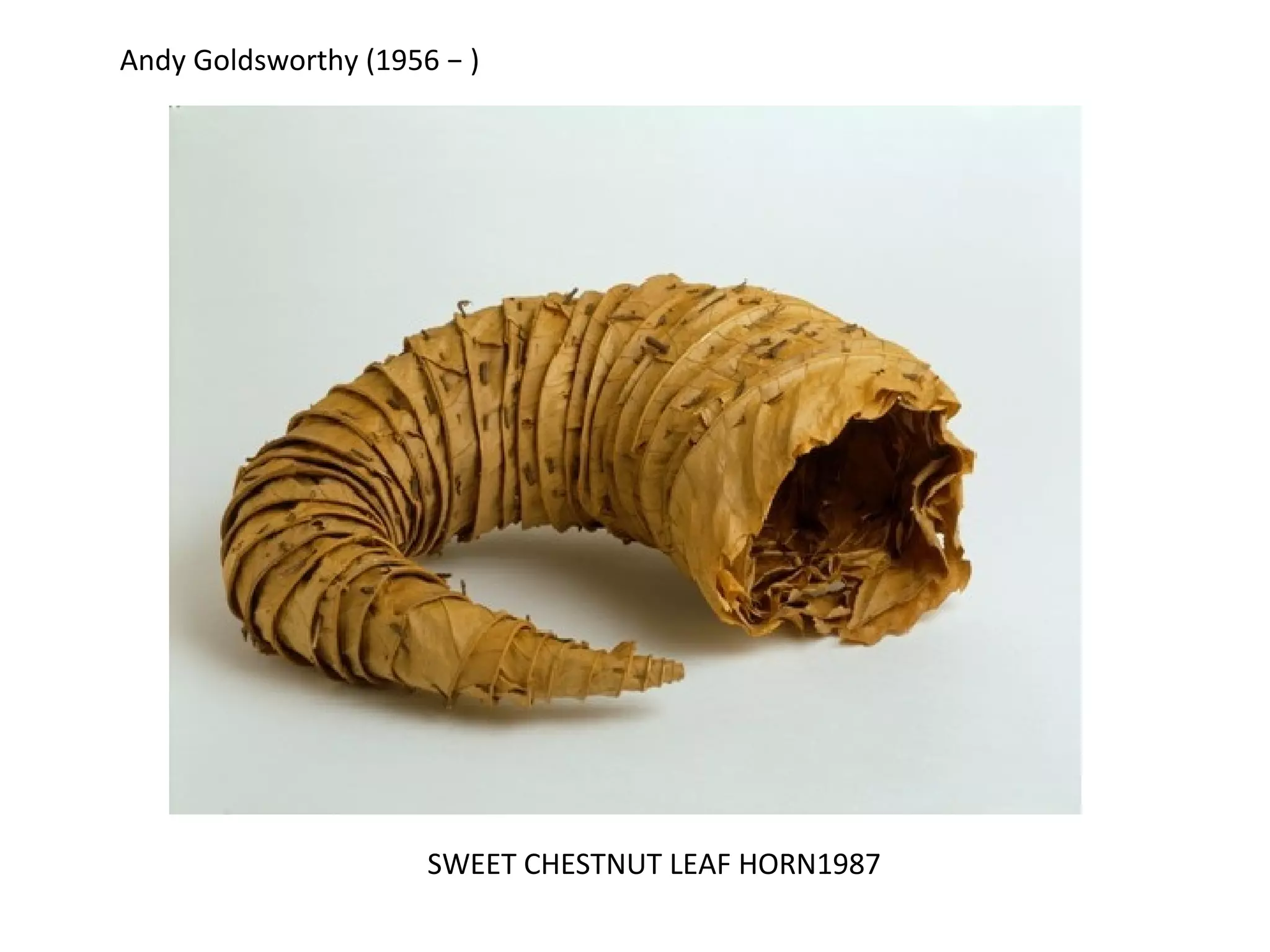 Andy Goldsworthy (1956 − )




                      SWEET CHESTNUT LEAF HORN1987
 