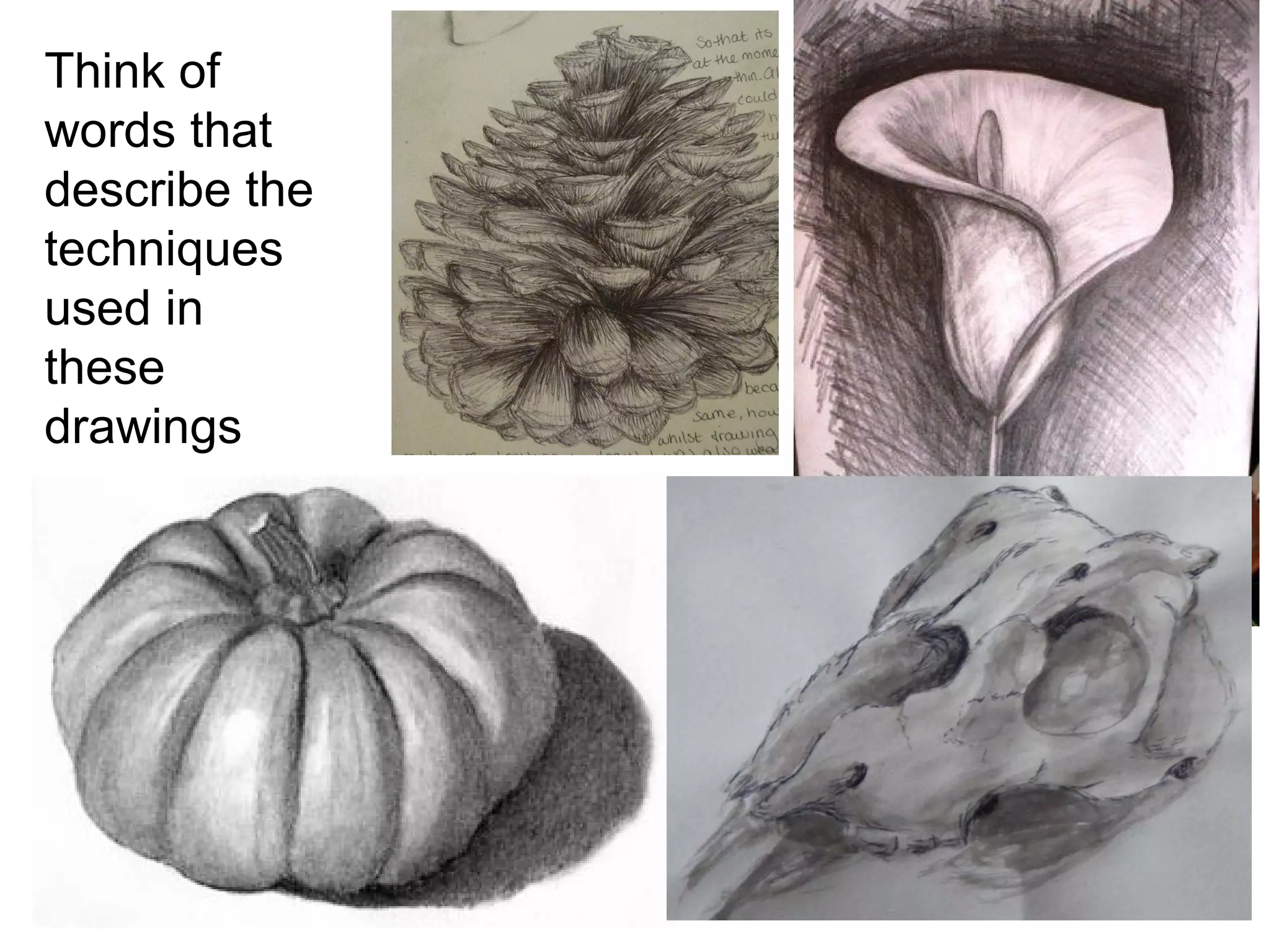 Think of
words that
describe the
techniques
used in
these
drawings
 