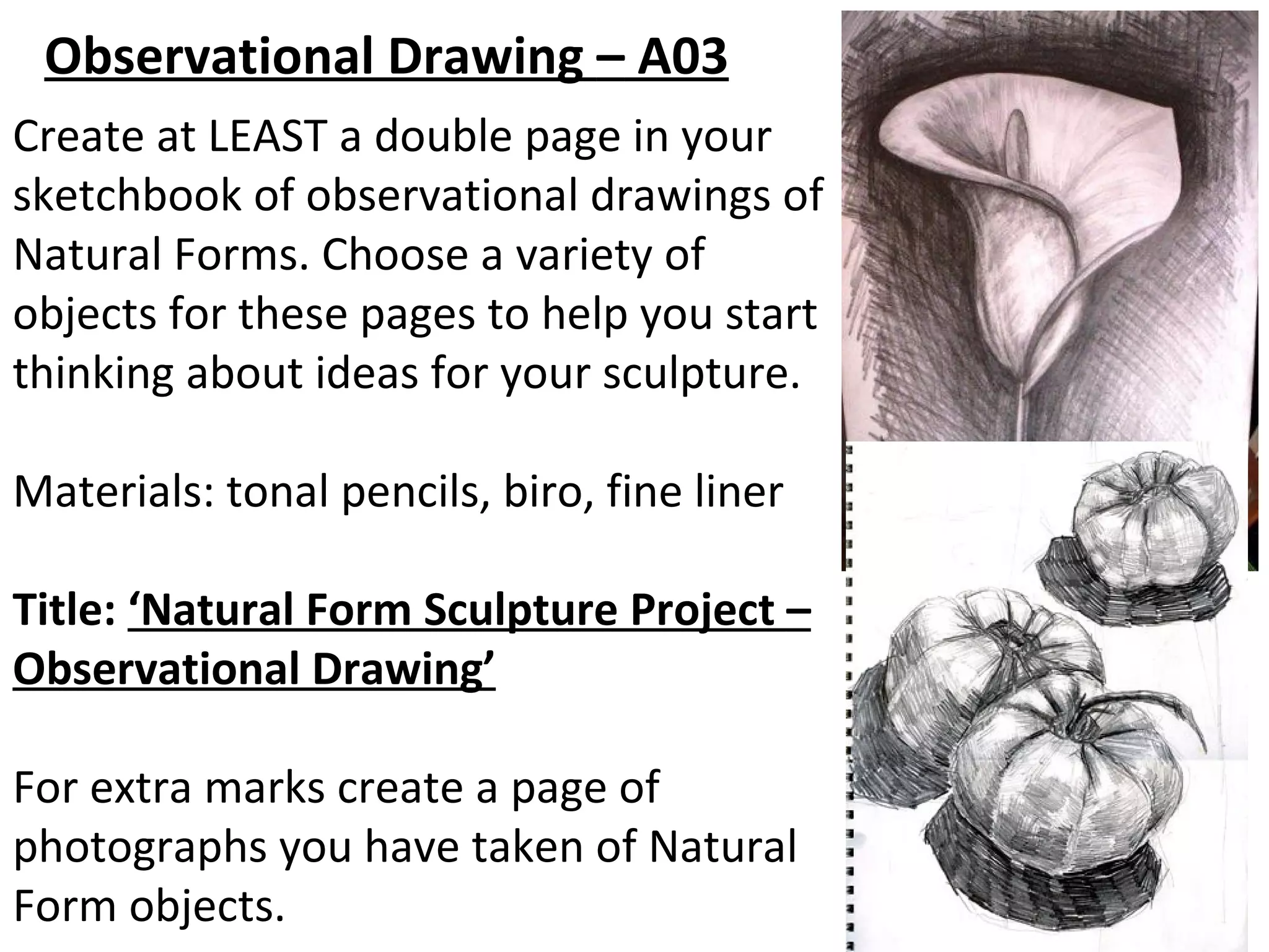 Observational Drawing – A03
Create at LEAST a double page in your
sketchbook of observational drawings of
Natural Forms. Choose a variety of
objects for these pages to help you start
thinking about ideas for your sculpture.

Materials: tonal pencils, biro, fine liner

Title: ‘Natural Form Sculpture Project –
Observational Drawing’

For extra marks create a page of
photographs you have taken of Natural
Form objects.
 