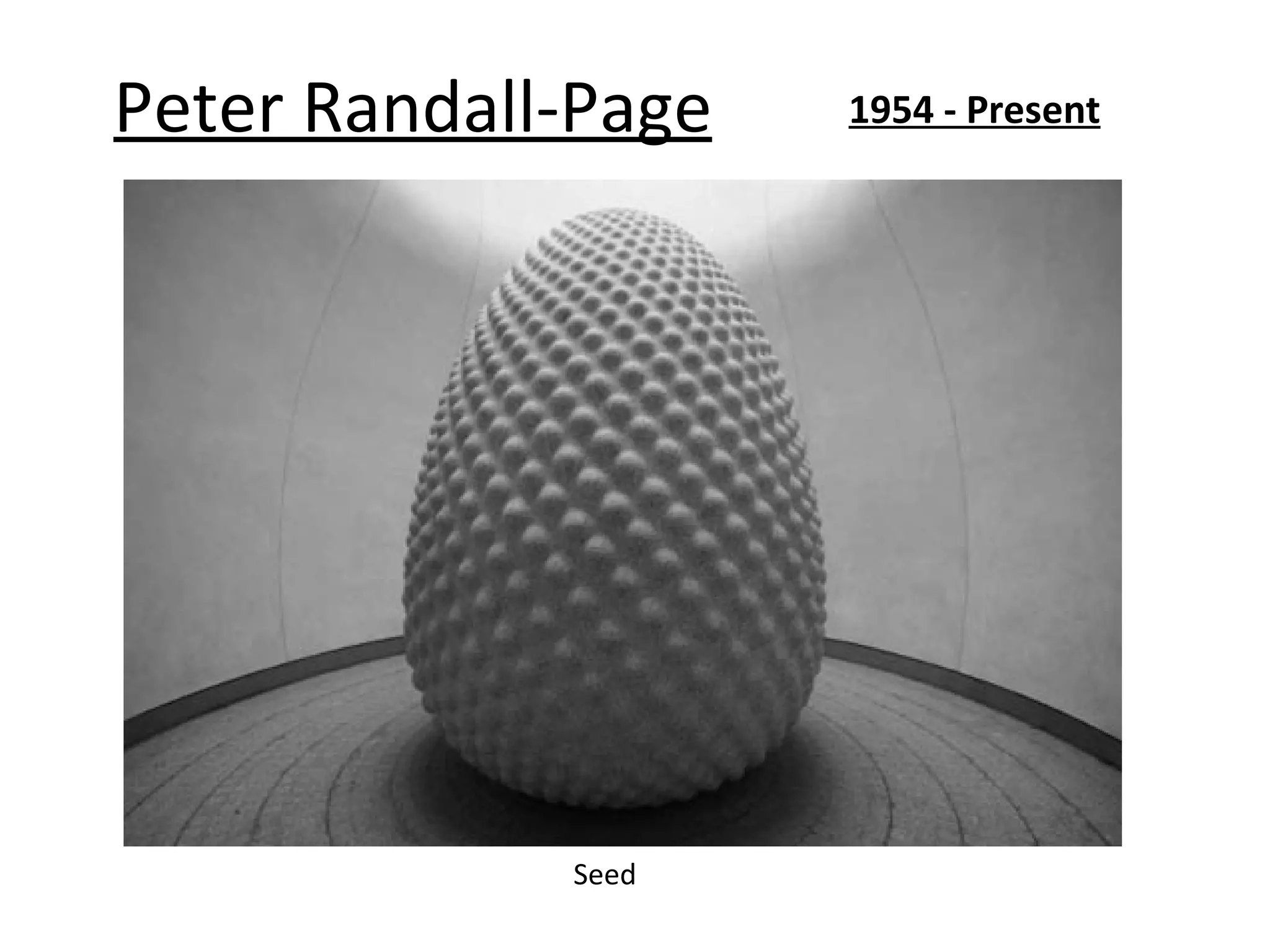 Peter Randall-Page   1954 - Present




             Seed
 