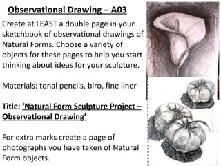 Observational Drawing – A03
Create at LEAST a double page in your
sketchbook of observational drawings of
Natural Forms. Choose a variety of
objects for these pages to help you start
thinking about ideas for your sculpture.

Materials: tonal pencils, biro, fine liner

Title: ‘Natural Form Sculpture Project –
Observational Drawing’

For extra marks create a page of
photographs you have taken of Natural
Form objects.
 