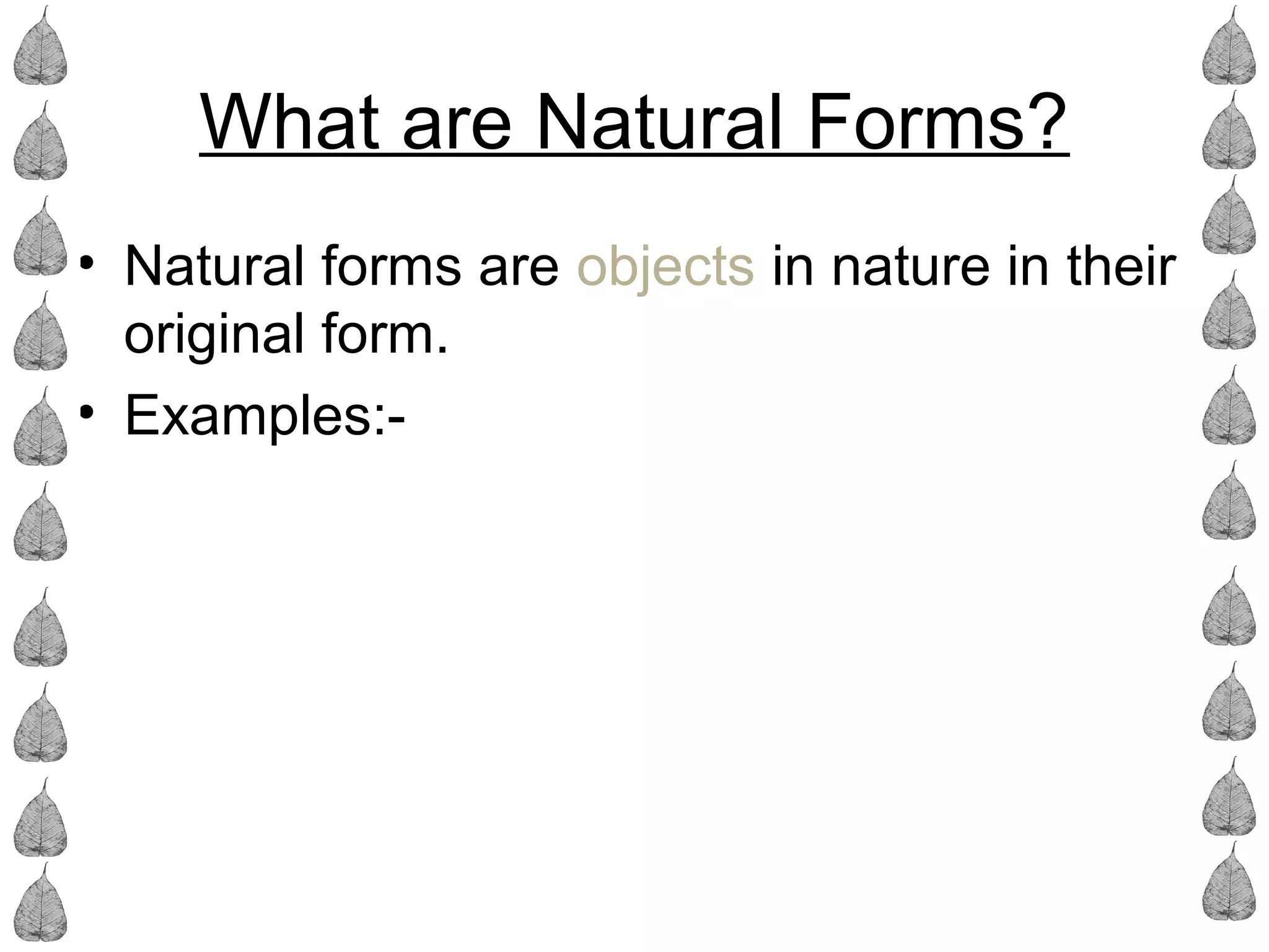 Natural forms spider diagram | PPT