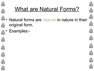 • Natural forms are objects in nature in their
original form.
• Examples:-
What are Natural Forms?
 