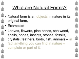 What are Natural Forms?
• Natural form is an objects in nature in its
original form.
• Examples:-
• Leaves, flowers, pine cones, sea weed,
shells, bones, insects, stones, fossils,
crystals, feathers, birds, fish, animals – in
fact anything you can find in nature –
complete or part of it.
 