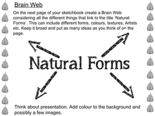 Brain Web
On the next page of your sketchbook create a Brain Web
considering all the different things that link to the title ‘Natural
Forms’. This can include different forms, colours, textures, Artists
etc. Keep it broad and put as many ideas as you think of on the
page.
Think about presentation. Add colour to the background and
possibly a few images.
 