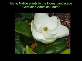 Using Native plants in the Home Landscape Geraldine Adamich Laufer 