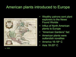 American plants introduced to Europe Wealthy patrons sent plant explorers to the Newe Found Worlde Influx of North American plants to Europe “ American Gardens” fad American plants were outlandish novelties America 16-18 th  C Asia 18-20 th  C c. 1650 