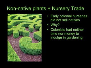 Non-native plants + Nursery Trade Early colonial nurseries did not sell natives Why? Colonists had neither time nor money to indulge in gardening  