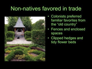 Non-natives favored in trade Colonists preferred familiar favorites from the “old country” Fences and enclosed spaces Clipped hedges and tidy flower beds 
