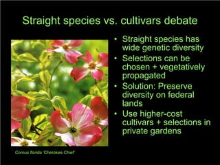 Straight species vs. cultivars debate Straight species has wide genetic diversity Selections can be chosen + vegetatively propagated Solution: Preserve diversity on federal lands  Use higher-cost cultivars + selections in private gardens   Cornus florida ‘ Cherokee Chief ’ 