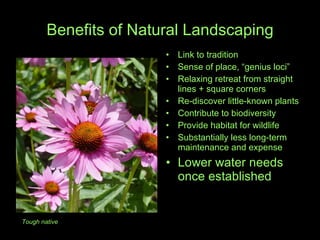 Benefits of Natural Landscaping Link to tradition Sense of place, “genius loci” Relaxing retreat from straight lines + square corners Re-discover little-known plants  Contribute to biodiversity Provide habitat for wildlife Substantially less long-term maintenance and expense Lower water needs once established Tough native 
