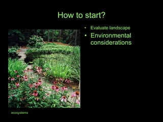 How to start? Evaluate landscape Environmental considerations  ecosystems 