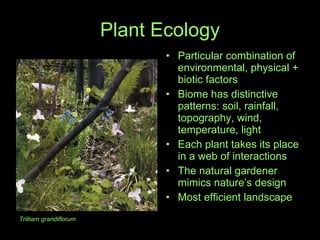 Plant Ecology Particular combination of environmental, physical + biotic factors Biome has distinctive patterns: soil, rainfall, topography, wind,  temperature, light Each plant takes its place in a web of interactions The natural gardener mimics nature’s design Most efficient landscape  Trilliam grandiflorum 