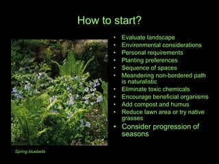 How to start? Evaluate landscape Environmental considerations  Personal requirements Planting preferences  Sequence of spaces Meandering non-bordered path is naturalistic Eliminate toxic chemicals Encourage beneficial organisms Add compost and humus Reduce lawn area or try native grasses Consider progression of seasons Spring bluebells 