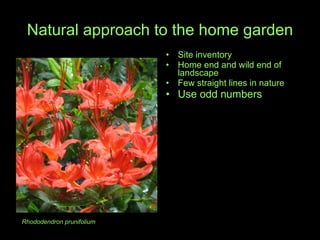 Natural approach to the home garden Site inventory Home end and wild end of landscape Few straight lines in nature Use odd numbers Rhododendron prunifolium 