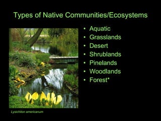Types of Native Communities/Ecosystems Aquatic Grasslands Desert Shrublands Pinelands  Woodlands Forest* Lysichiton americanum 