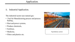 Application.
ii. Industrial Application.
The industrial sector uses natural gas-
• Fuel for Manufacturing process and process
heating ,
• Heat and power systems,
• Produce chemicals,
• Fertilizer,
• Medicine,
• Fibers and plastics etc.
Fig:Industry section
 