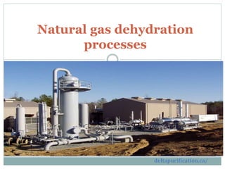 Natural gas dehydration
processes
deltapurification.ca/
 