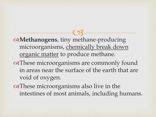 
Methanogens, tiny methane-producing
microorganisms, chemically break down
organic matter to produce methane.
These microorganisms are commonly found
in areas near the surface of the earth that are
void of oxygen.
These microorganisms also live in the
intestines of most animals, including humans.
 