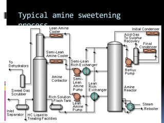 Natural gas processing technology sweetening processes