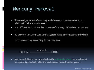 Natural gas processing technology sweetening processes