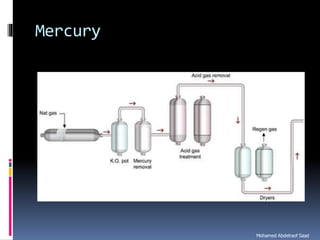 Natural gas processing technology sweetening processes
