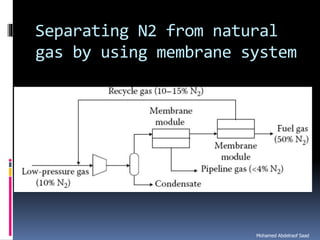 Natural gas processing technology sweetening processes
