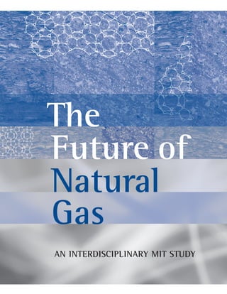 The
Future of
Natural
Gas
AN INTERDISCIPLINARY MIT STUDY
 