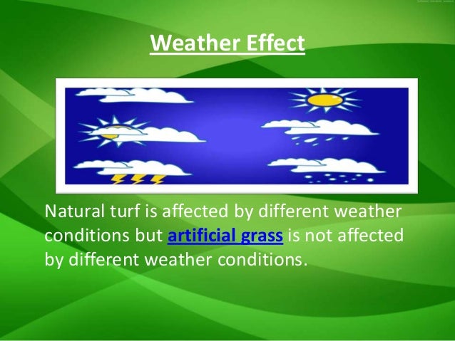 Time On Natural Grass Vs Turf Time On Natural Grass Vs Turf