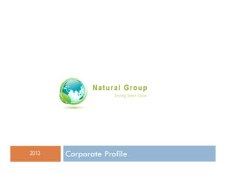 2013

Corporate Profile

 
