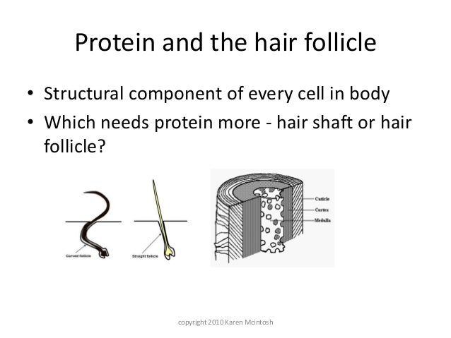 Natural Hair Terms Techniques Handouts